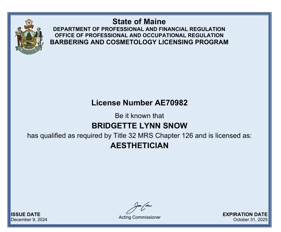 State of Maine aesthetician license AE70982, issued to Bridgette Lynn Snow
